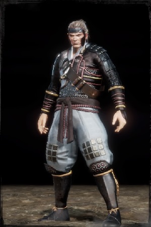 防具 シリーズ別 芝見の軽鎧 仁王 完全攻略wiki