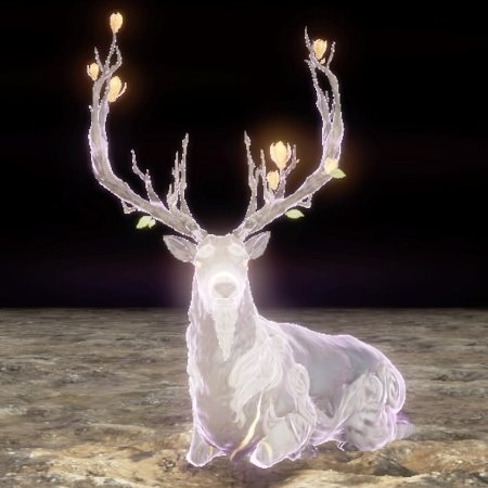 神鹿 神鹿